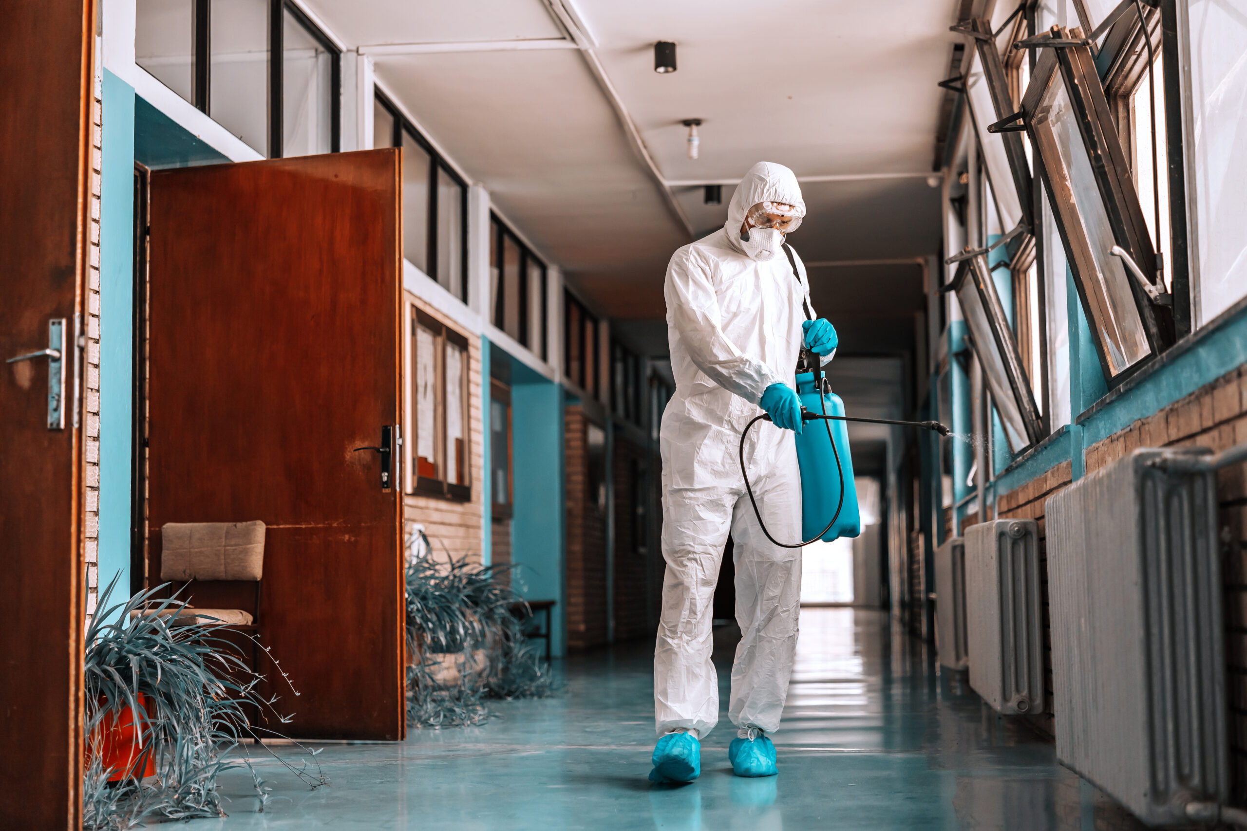 Bahçe İlaçlama - Tahta Kurusu İlaçlama - Hamam Böceği İlaçlama